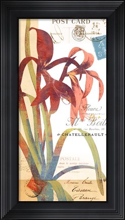 Framed Crowning Glory II Print