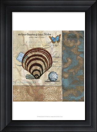 Framed Botticelli Shell II Print