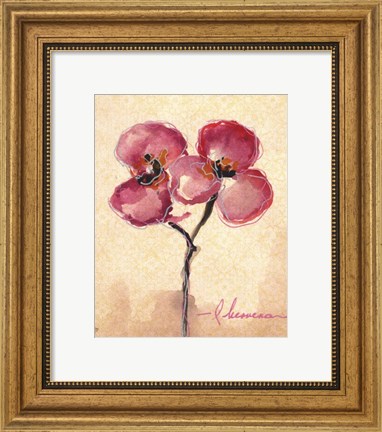 Framed Orchid Sketch I Print