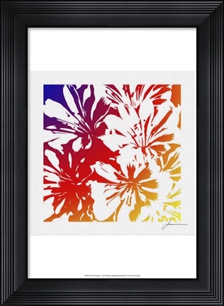 Framed Floral Brights I Print