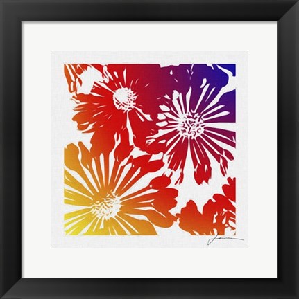 Framed Floral Brights II Print