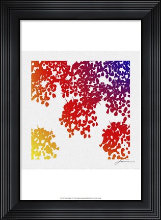 Framed Floral Brights IV Print