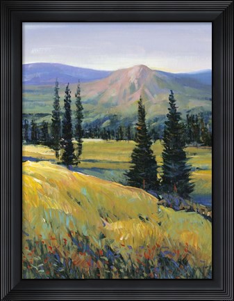 Framed Purple Mountain Majesty II Print