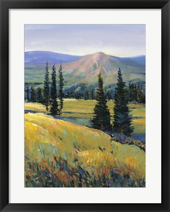 Framed Purple Mountain Majesty II Print