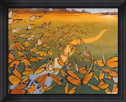 Framed Monarch Migration Print