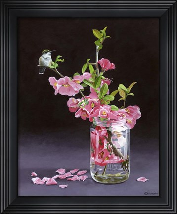 Framed Quince &amp; Ruby I Print