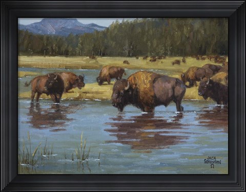 Framed Buffalo Crossing Print