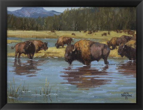 Framed Buffalo Crossing Print