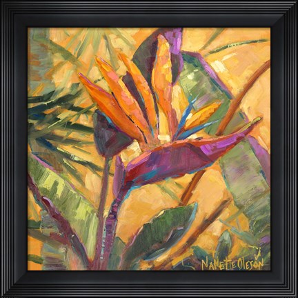 Framed Splash of the Tropics I Print