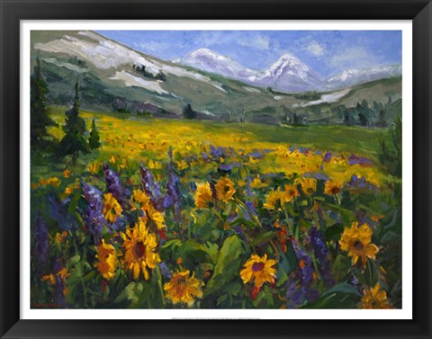 Framed Sierra Awakenings II Print