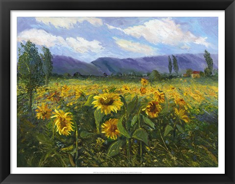 Framed Sierra Awakenings III Print