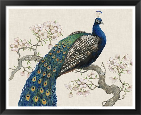 Framed Peacock &amp; Blossoms I Print