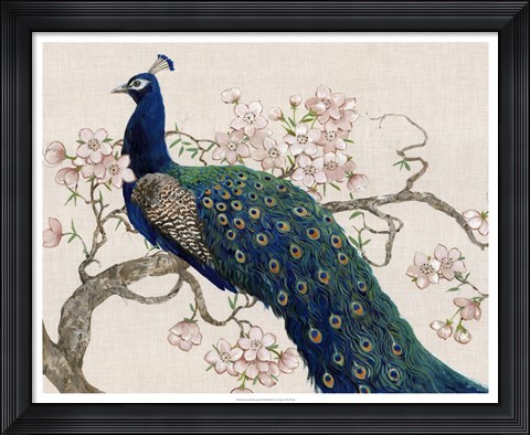 Framed Peacock &amp; Blossoms II Print