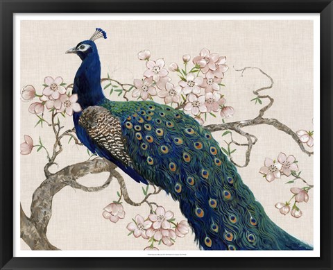 Framed Peacock &amp; Blossoms II Print