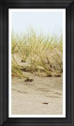 Framed Dunes II Print