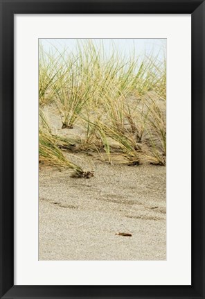 Framed Dunes II Print