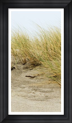 Framed Dunes III Print