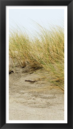 Framed Dunes III Print