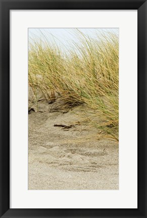 Framed Dunes III Print
