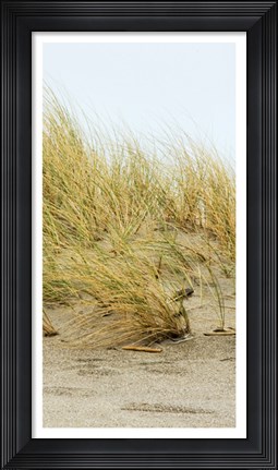 Framed Dunes IV Print
