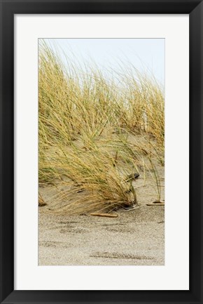 Framed Dunes IV Print