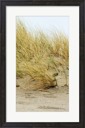 Framed Dunes IV Print