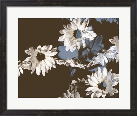Framed Chocolate Bloom II Print
