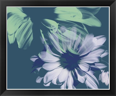 Framed Teal Bloom I Print