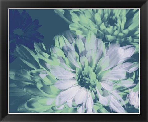 Framed Teal Bloom II Print