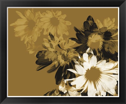 Framed Golden Bloom II Print