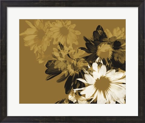 Framed Golden Bloom II Print