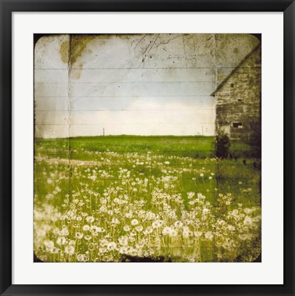 Framed Field II Print