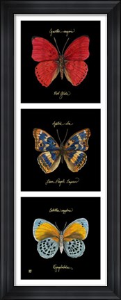 Framed Primary Butterfly Panel I Print