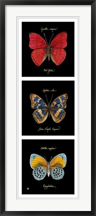 Framed Primary Butterfly Panel I Print