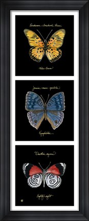 Framed Primary Butterfly Panel II Print