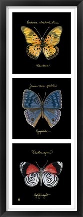 Framed Primary Butterfly Panel II Print