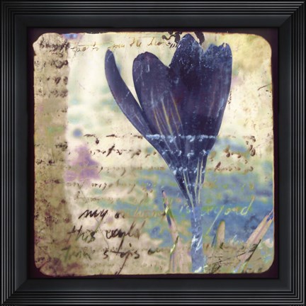 Framed Blooming Purple I Print