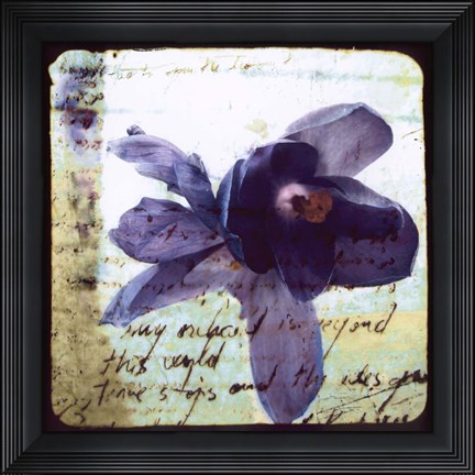 Framed Blooming Purple II Print
