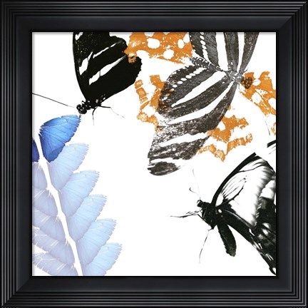 Framed Butterfly Inflorescence II Print