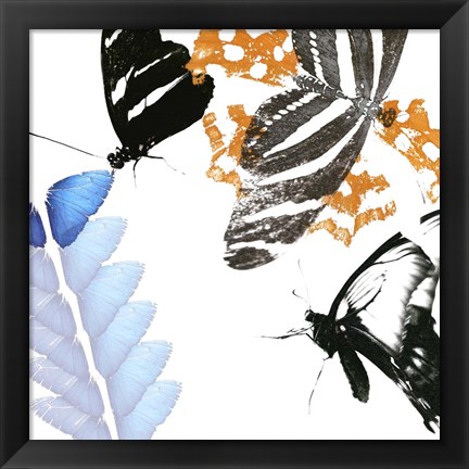 Framed Butterfly Inflorescence II Print