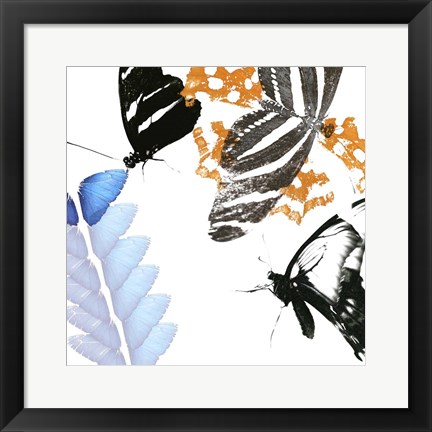 Framed Butterfly Inflorescence II Print