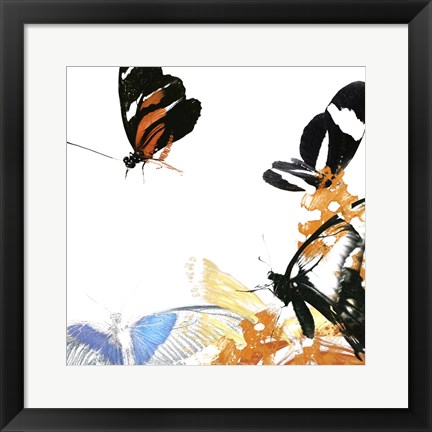 Framed Butterfly Inflorescence IV Print