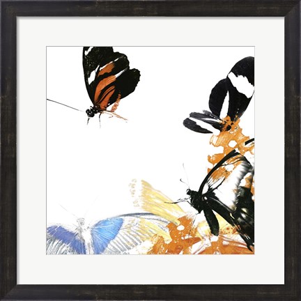 Framed Butterfly Inflorescence IV Print