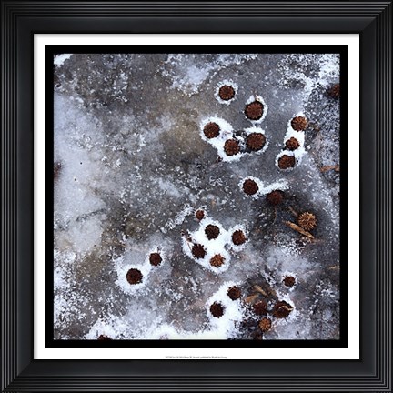 Framed Ice I Print