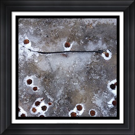 Framed Ice II Print