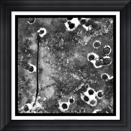 Framed Black Ice II Print