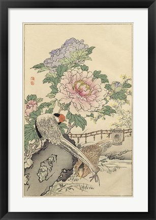 Framed Pheasant and Peony Print