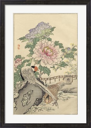 Framed Pheasant and Peony Print