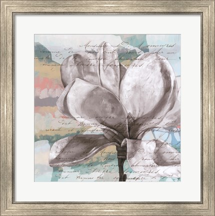 Framed Pastel Magnolias I Print