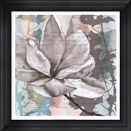 Framed Pastel Magnolias II Print